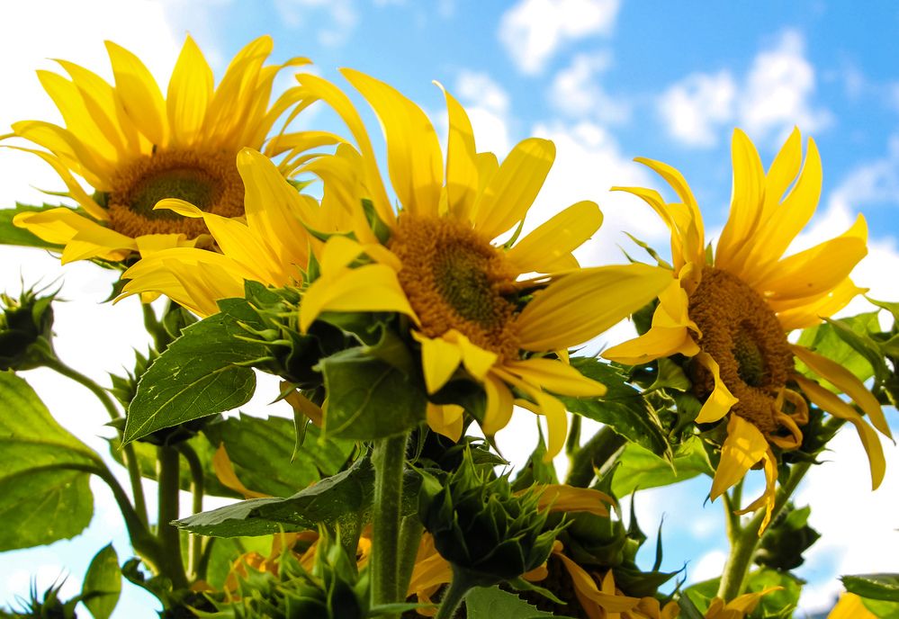 Photograph by Ryabokonenko Nataliya