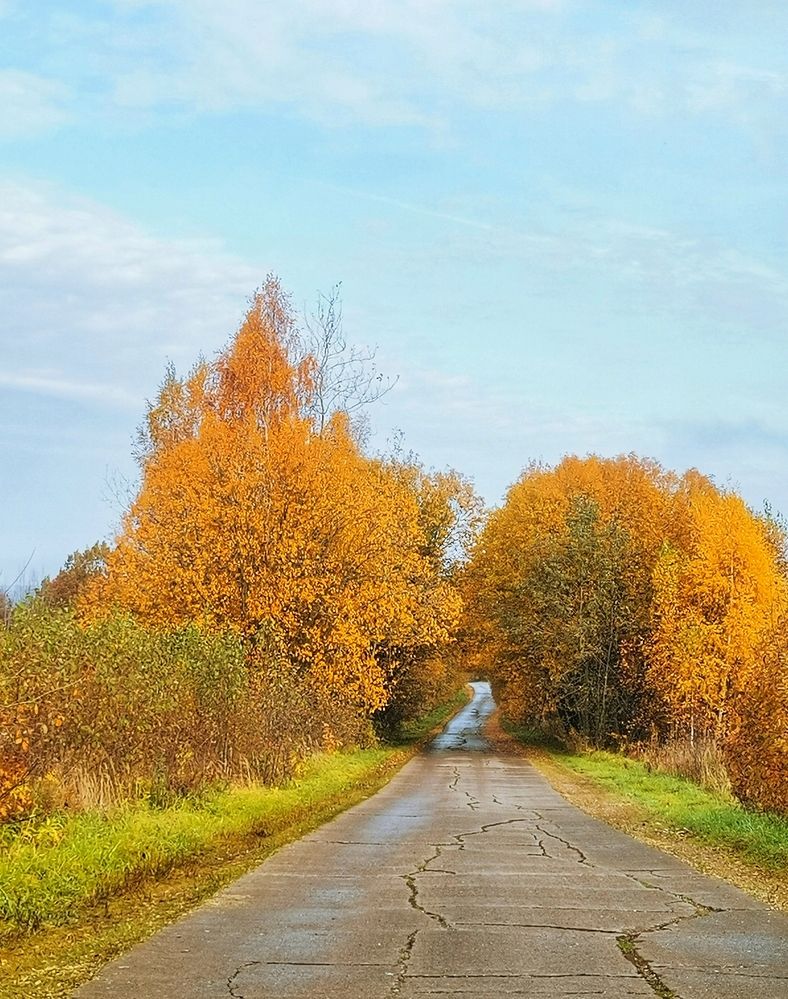 Photograph by Ирина Садовникова