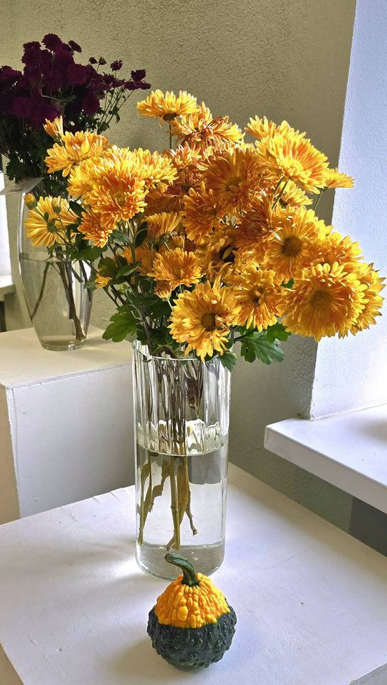 Photograph by Тамара Шкарупа