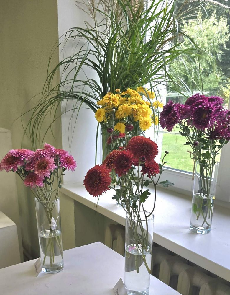 Photograph by Тамара Шкарупа