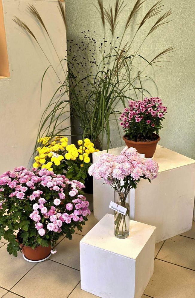 Photograph by Тамара Шкарупа