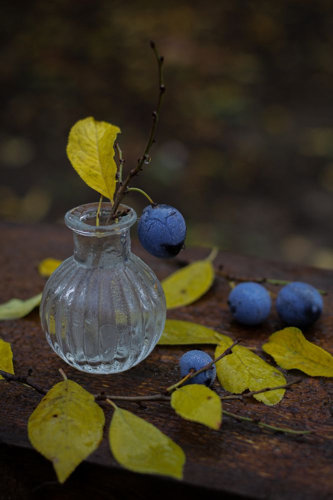 Photograph by Анна Зайченко