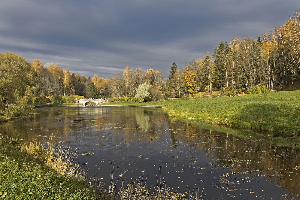 Унылая пора! Очей очарованье!