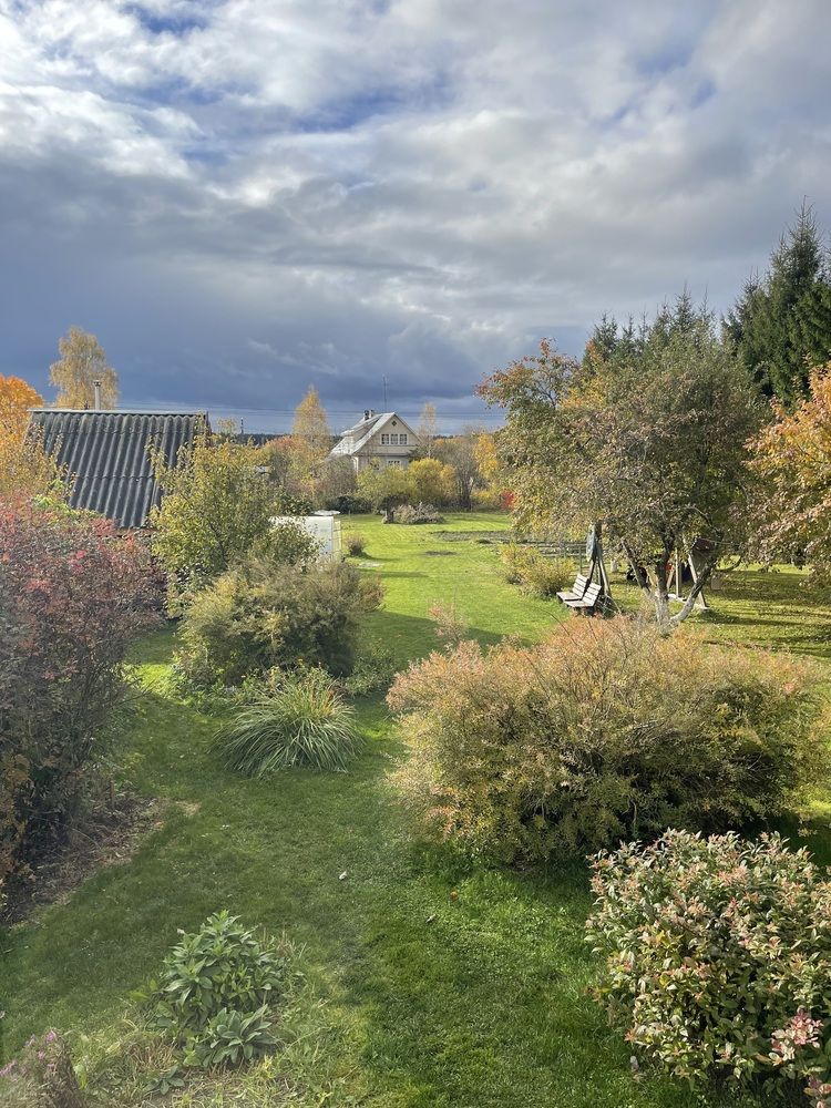 Photograph by Елена