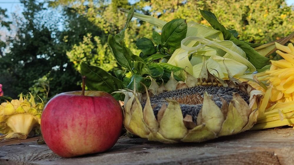 Photograph by Олена Бокова