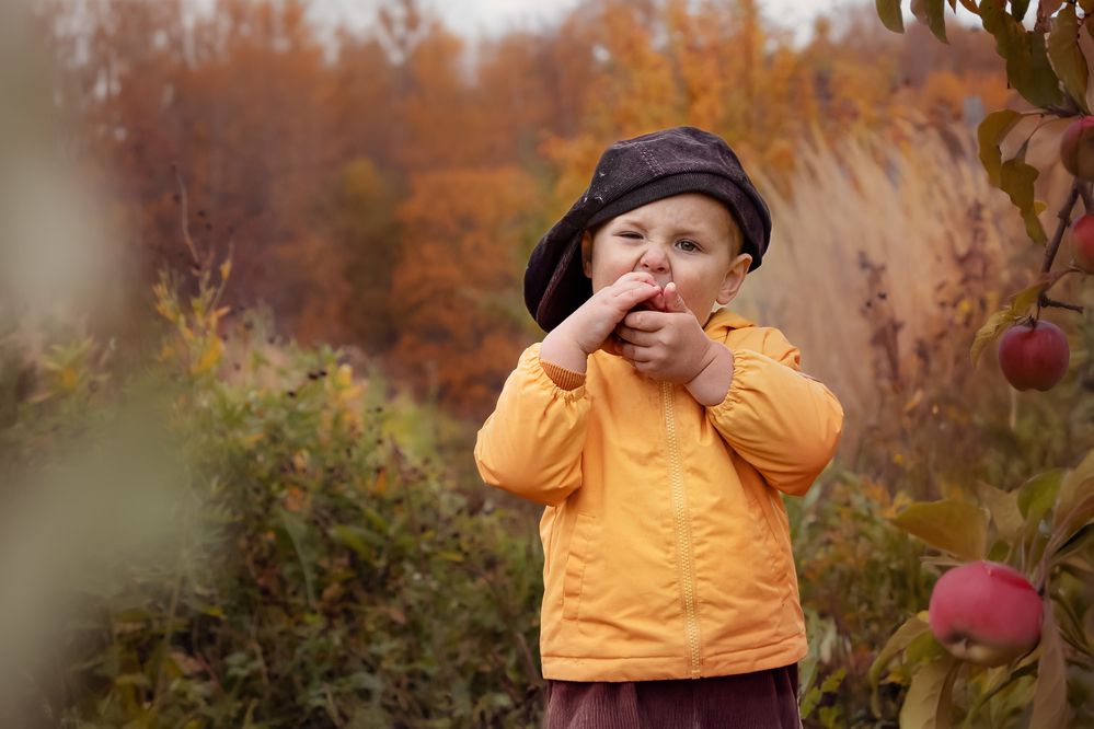 Photograph by Елена Мелихова