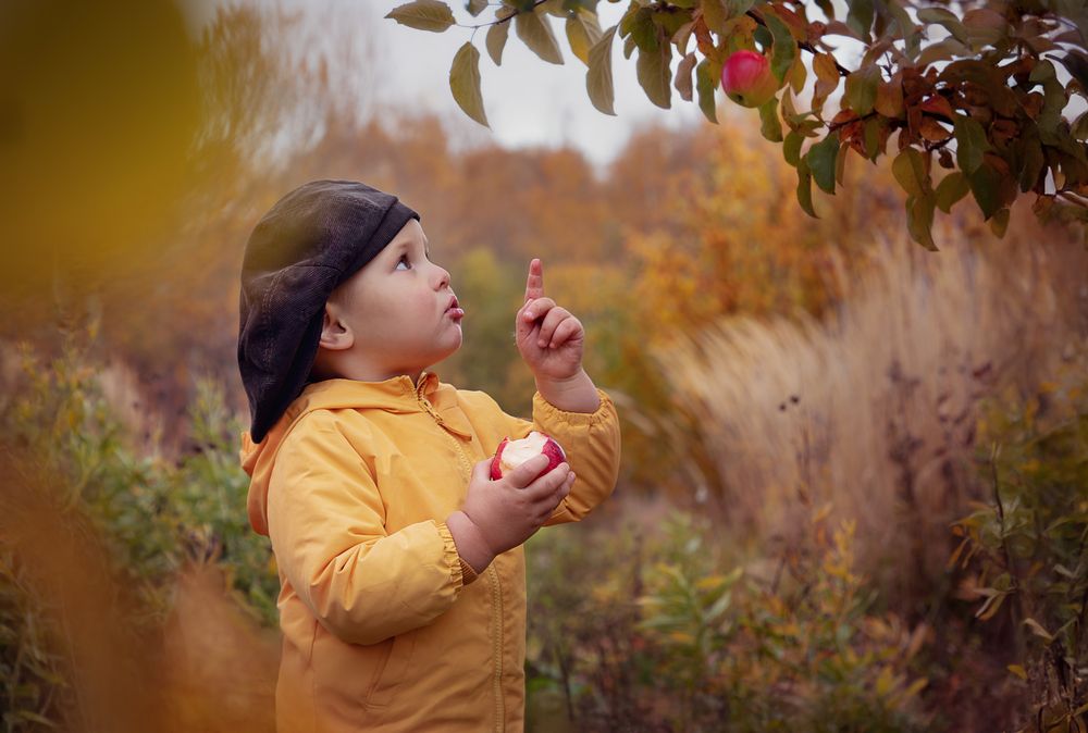 Photograph by Елена Мелихова