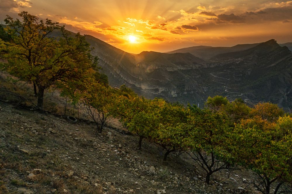 Photograph by Кирилл Аксенов