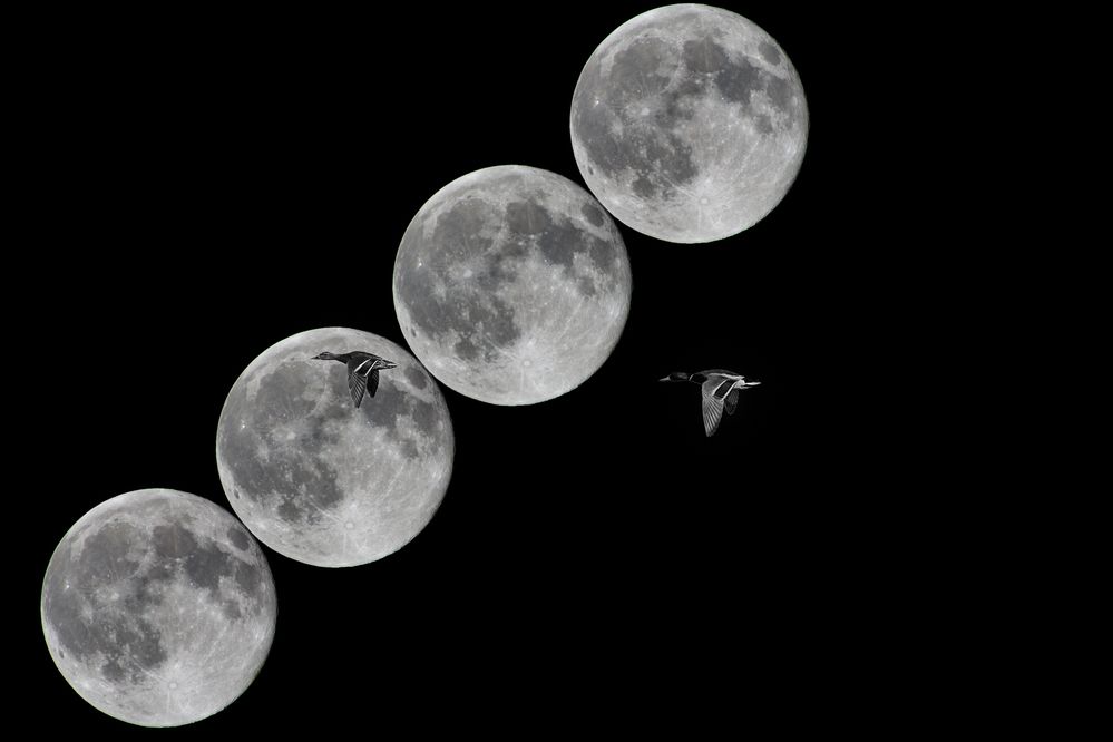 07.10.2025 Лунная дорожка. Суперлуние.