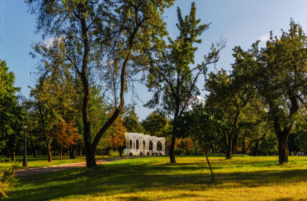 Осень в Лошицком парке