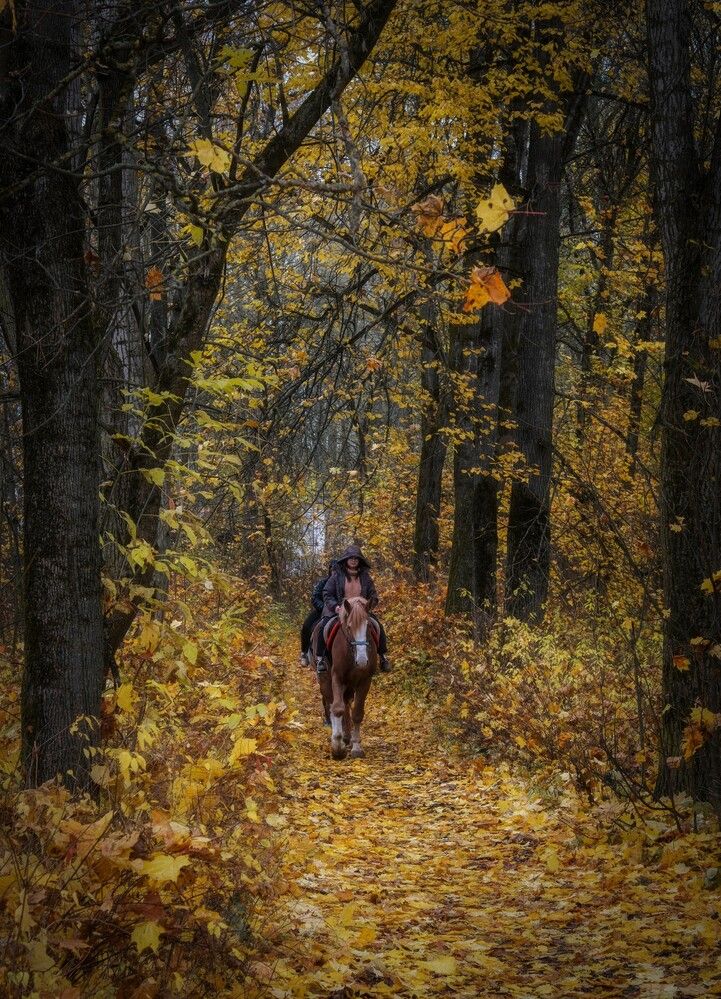 Photograph by Анна Панеева
