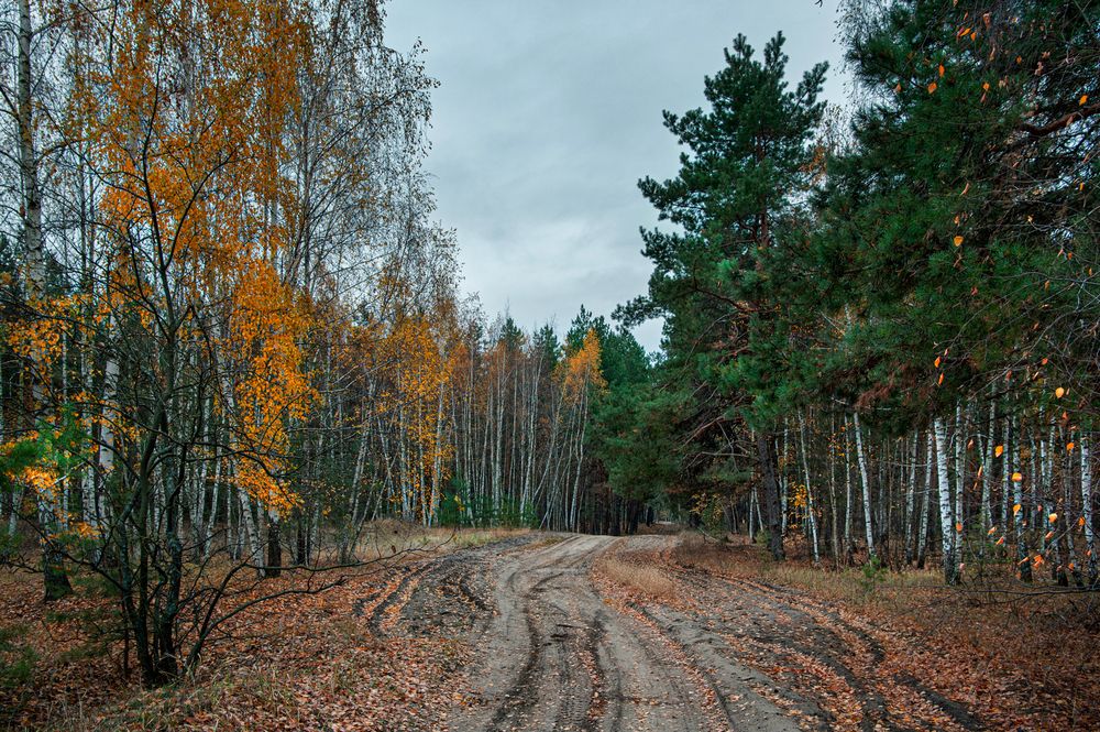 Photograph by Кирилл Аксенов