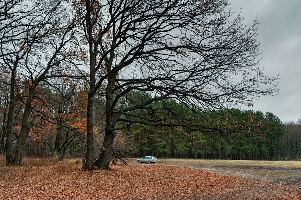 Photograph by Кирилл Аксенов