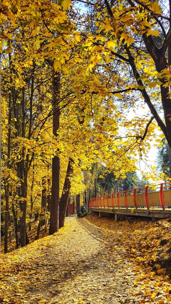 Фотография автора Алексей Новиков