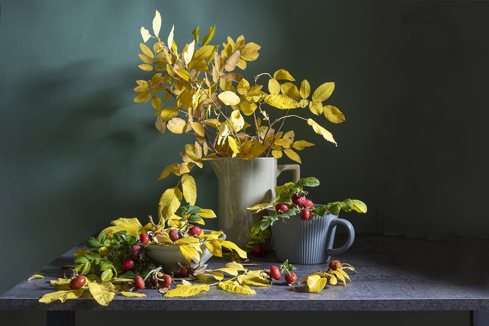 Photograph by Надежда Пухова