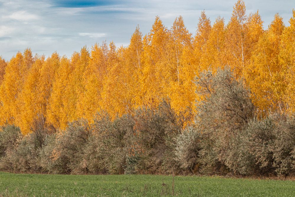 Photograph by Lapin Vitaly