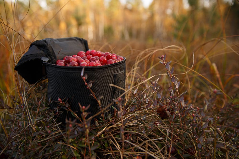 Photograph by Дарья Улюсова