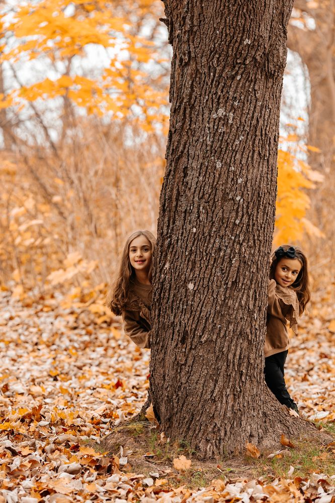 Фотография автора Alena Pernu