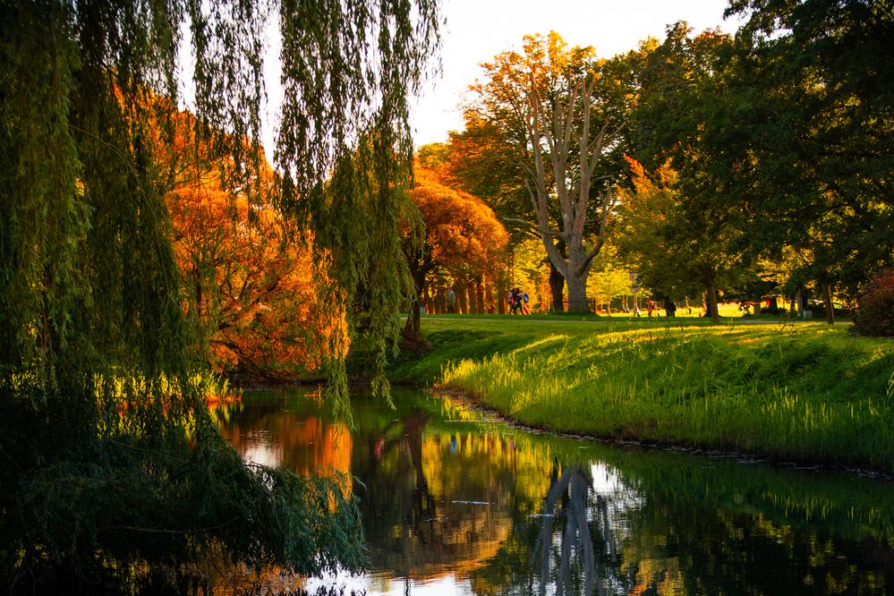 Фотография автора Aлексей Игнатьев