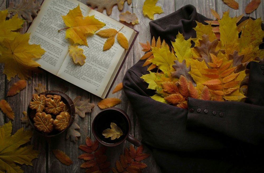 Photograph by Анна Зайченко