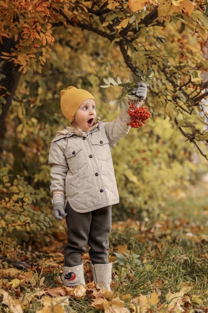 Photograph by Ирина Толстых