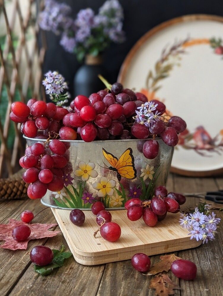 Photograph by Shaila Mahbub