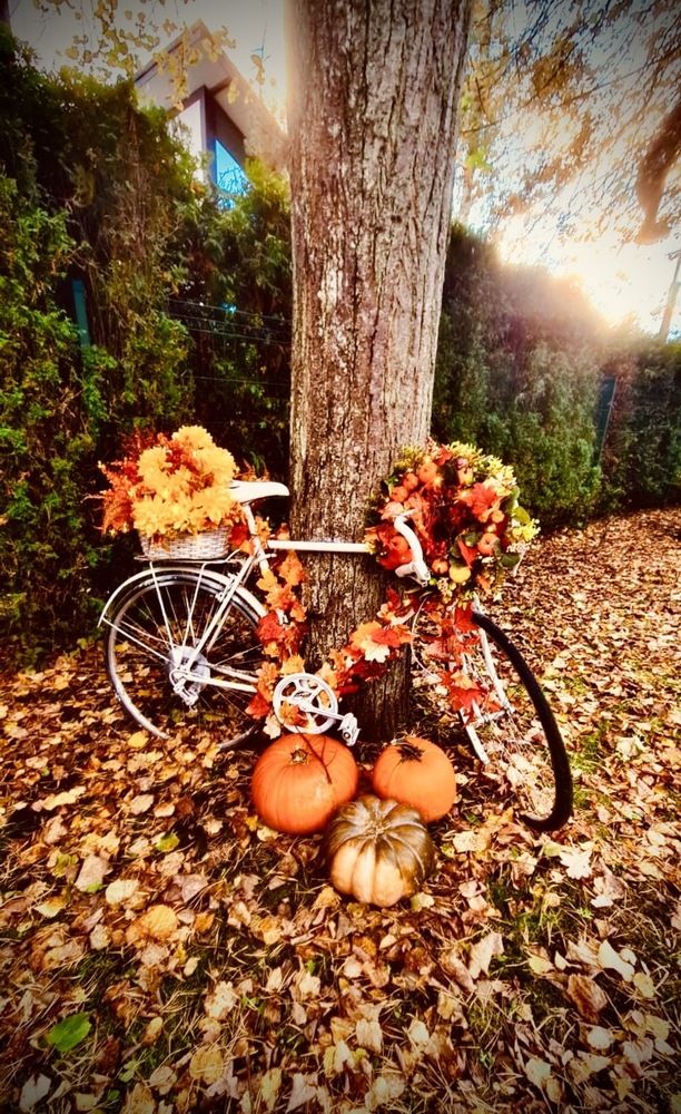 Photograph by Anna Krivorucko