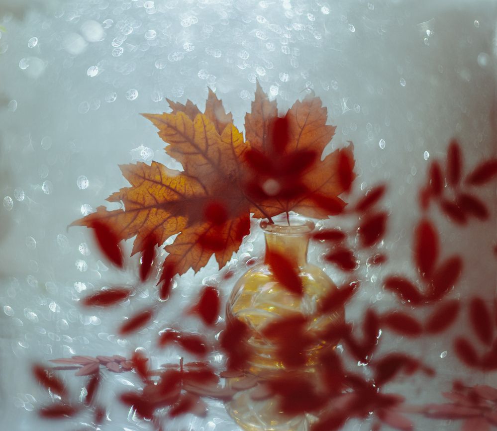 Photograph by Юлия Ильина