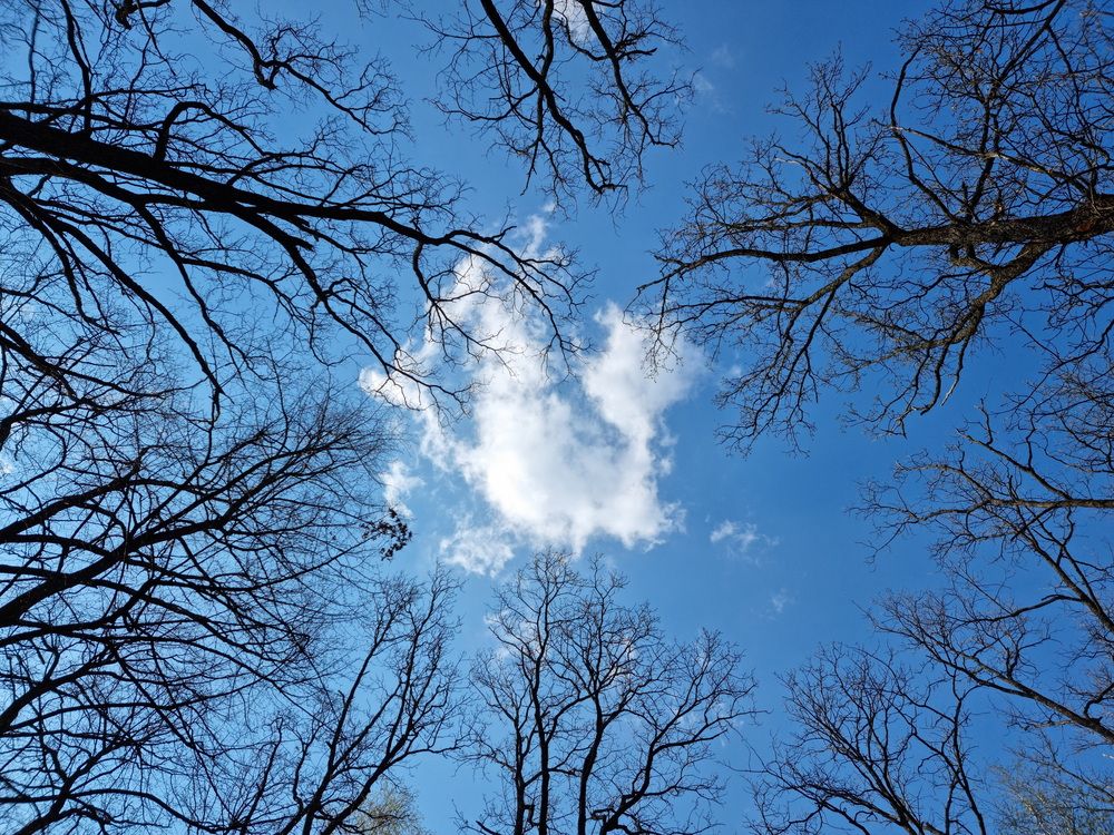 Photograph by Андрей Шайкин