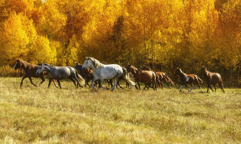 Фотография автора Андрей Жданов
