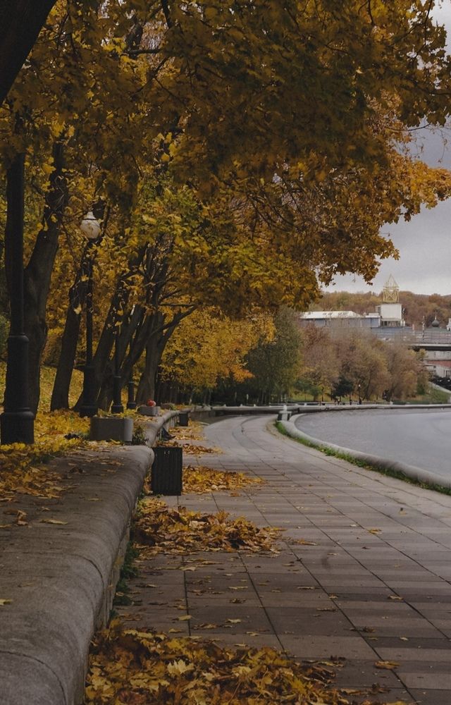 Photograph by Юлия Носкова