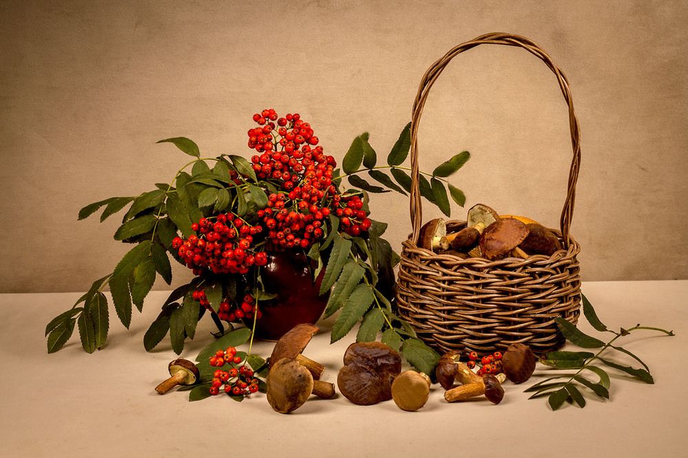 Photograph by Людмила Павловна