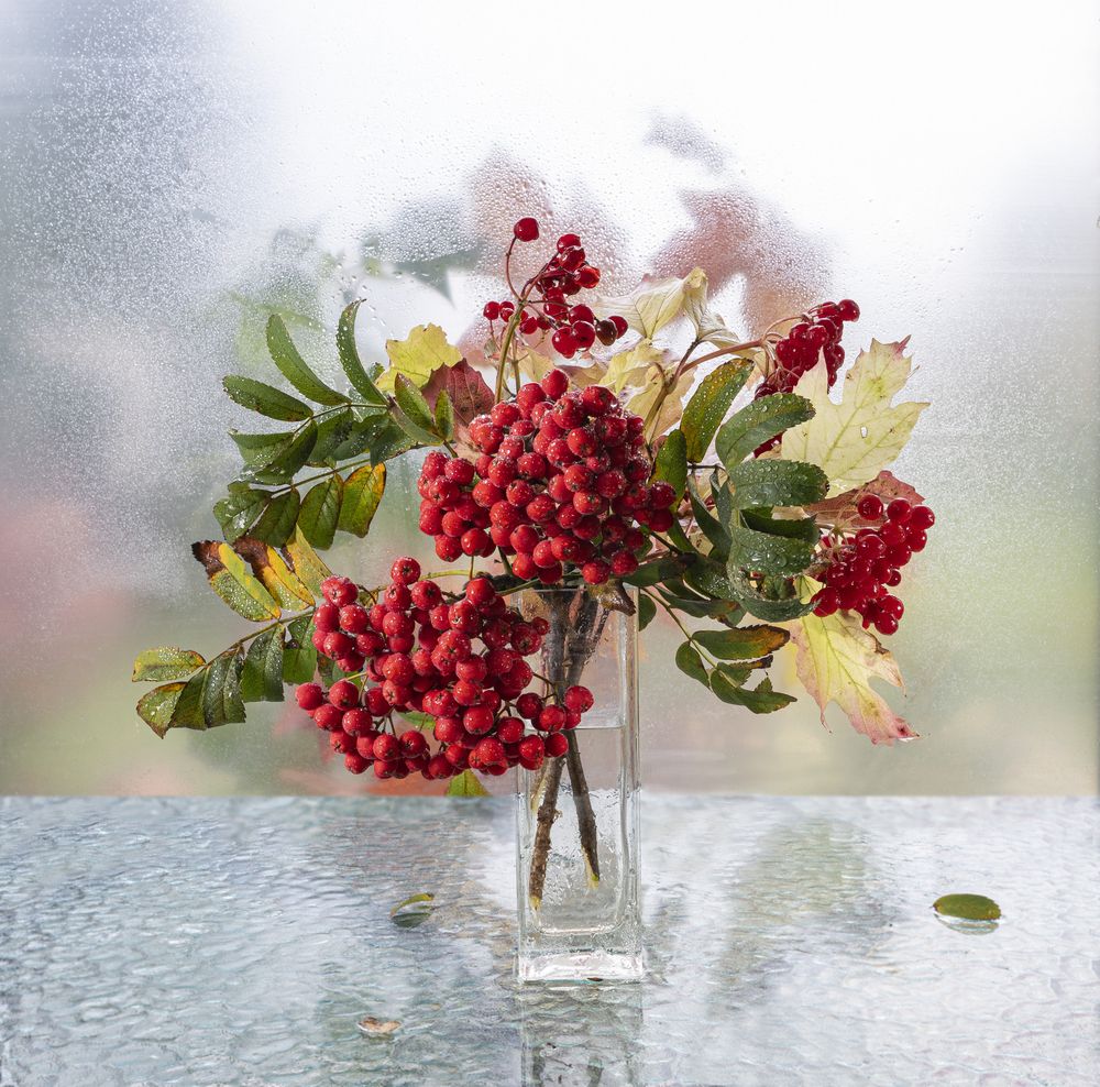 Photograph by NADEZHDA PELYMSKAIA