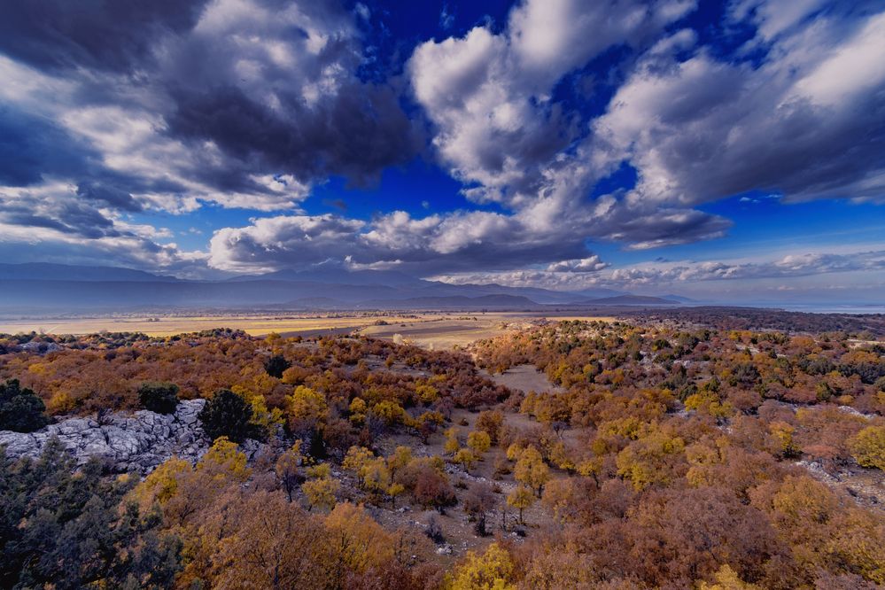 Фотография автора Андрей Жданов