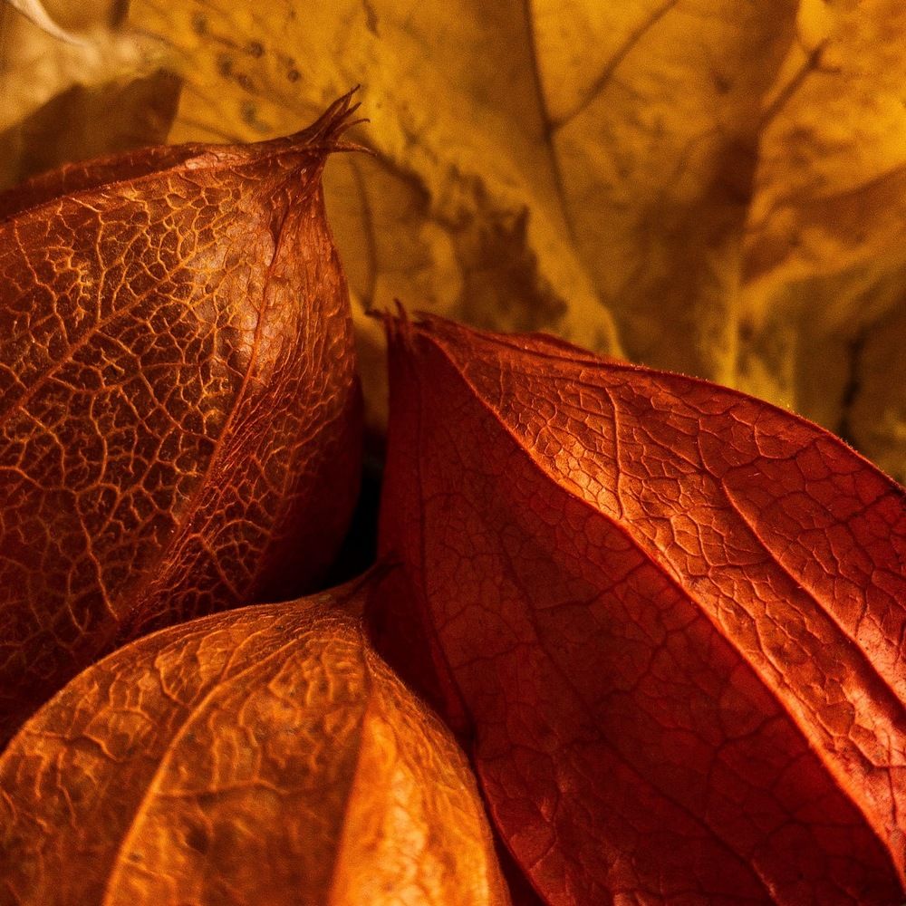 Photograph by Надежда Смирнова