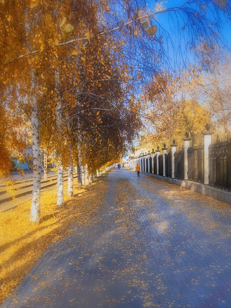 Фотография автора Андрей Жданов