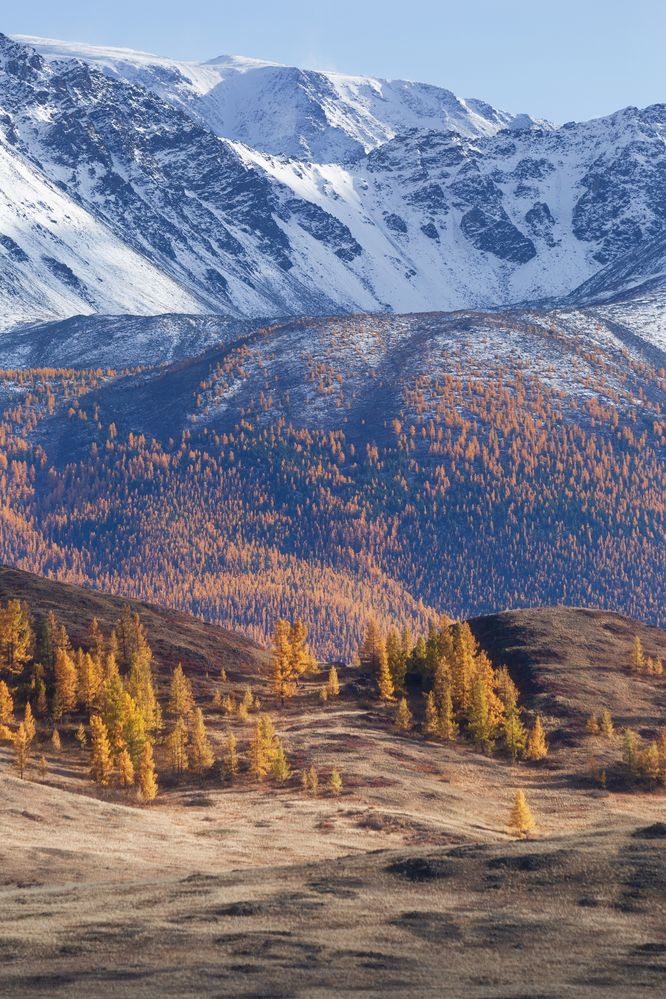 Фотография автора Гарус Виктория