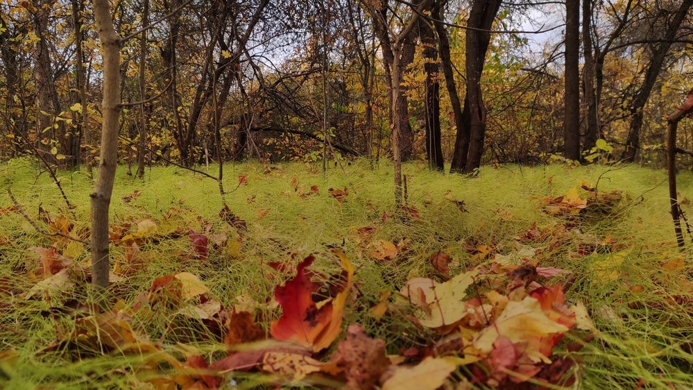 Photograph by Калюнова Наталья