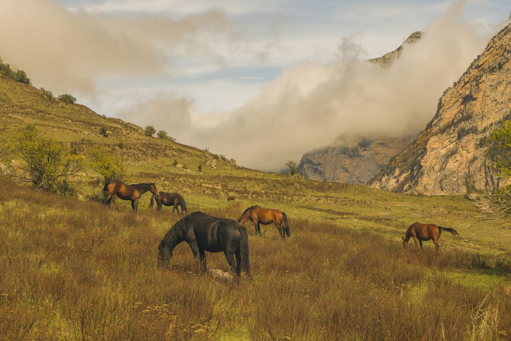 Photograph by Бабанов Сергей