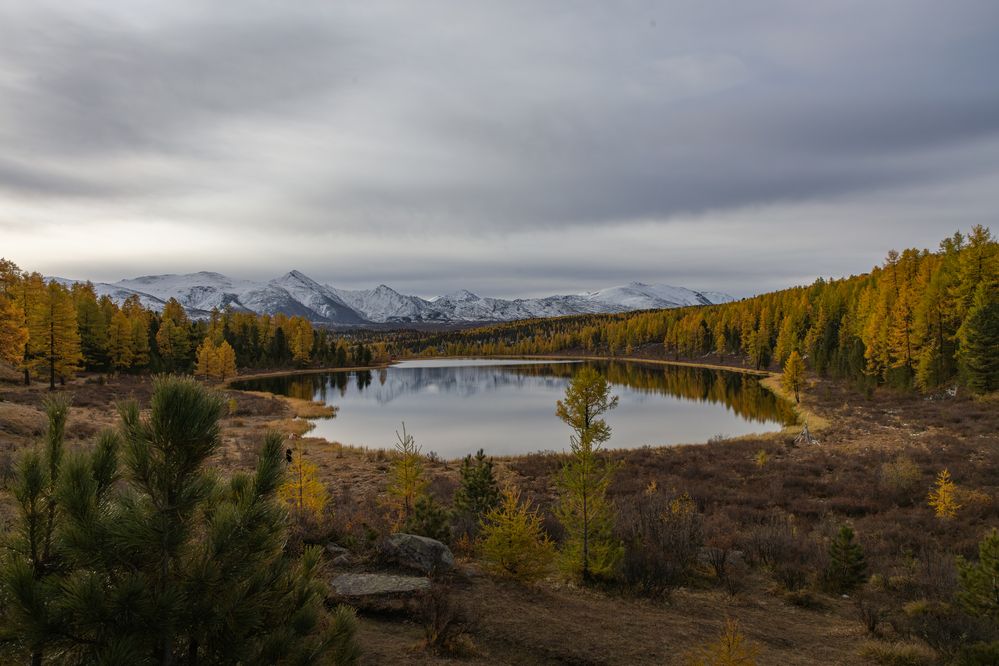 Photograph by Юлия Яковлева