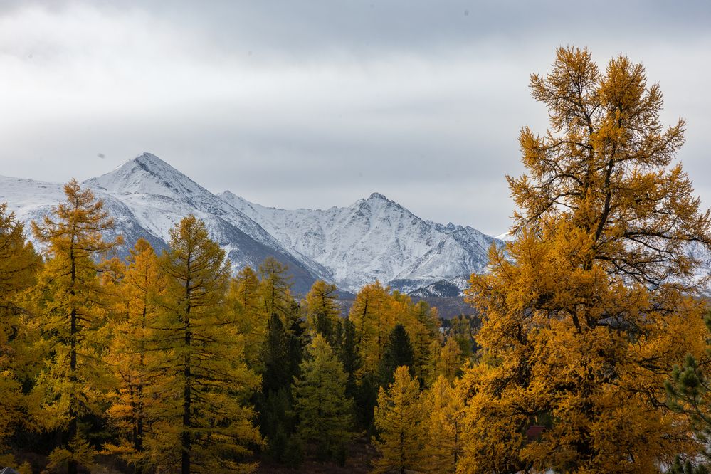 Photograph by Юлия Яковлева