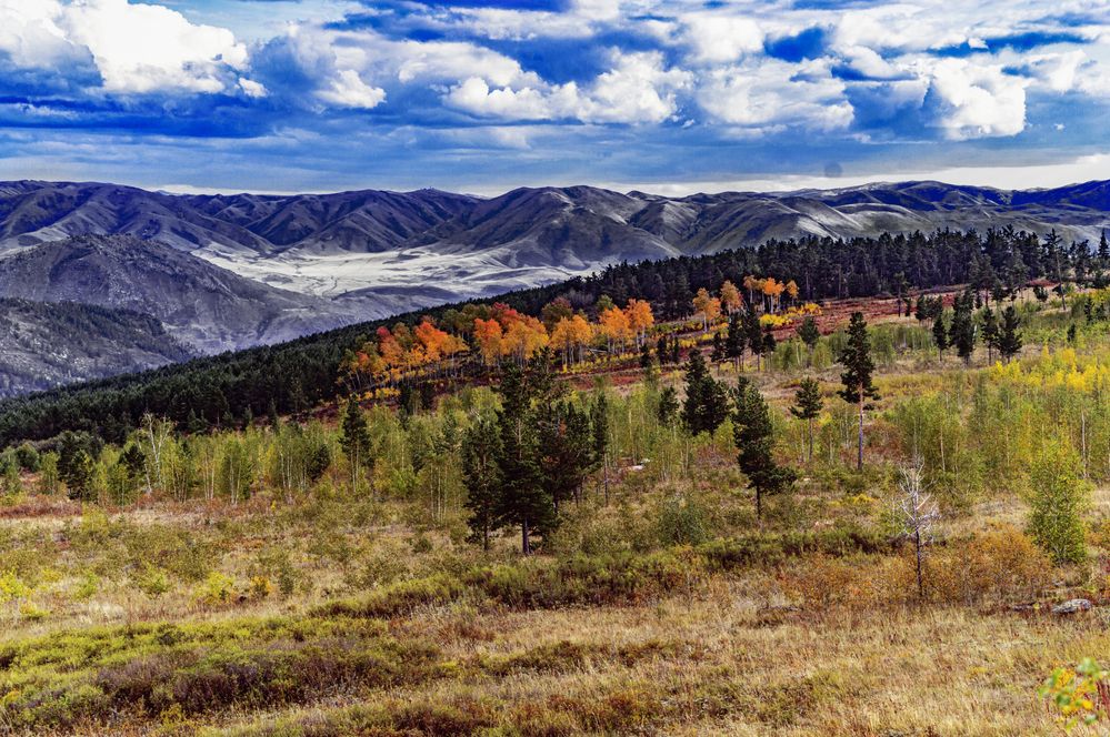 Фотография автора Андрей Жданов