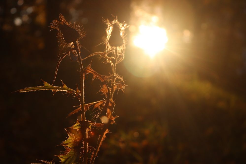 Фотография автора Анастасия Богдан