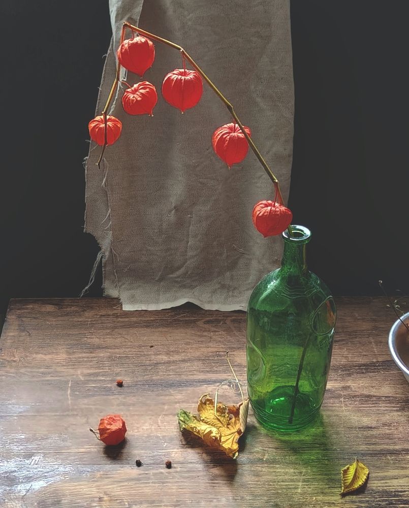 С физалисом