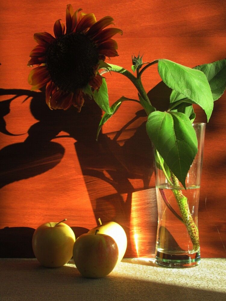 Photograph by Ольга Березовская