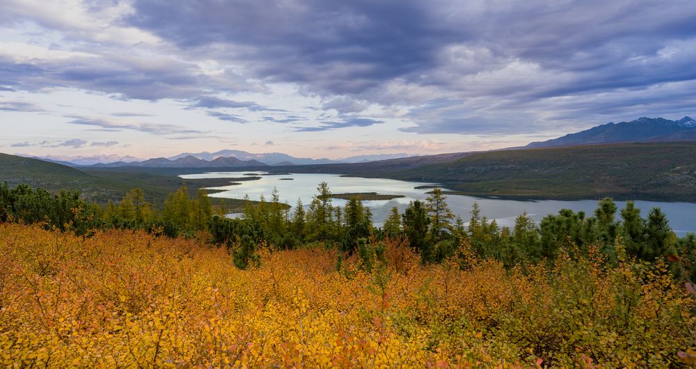 Photograph by Татьяна Решетникова