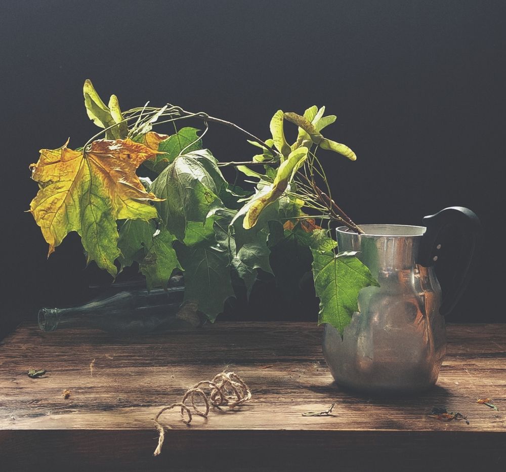 Фотография автора Ирина Курмалеева