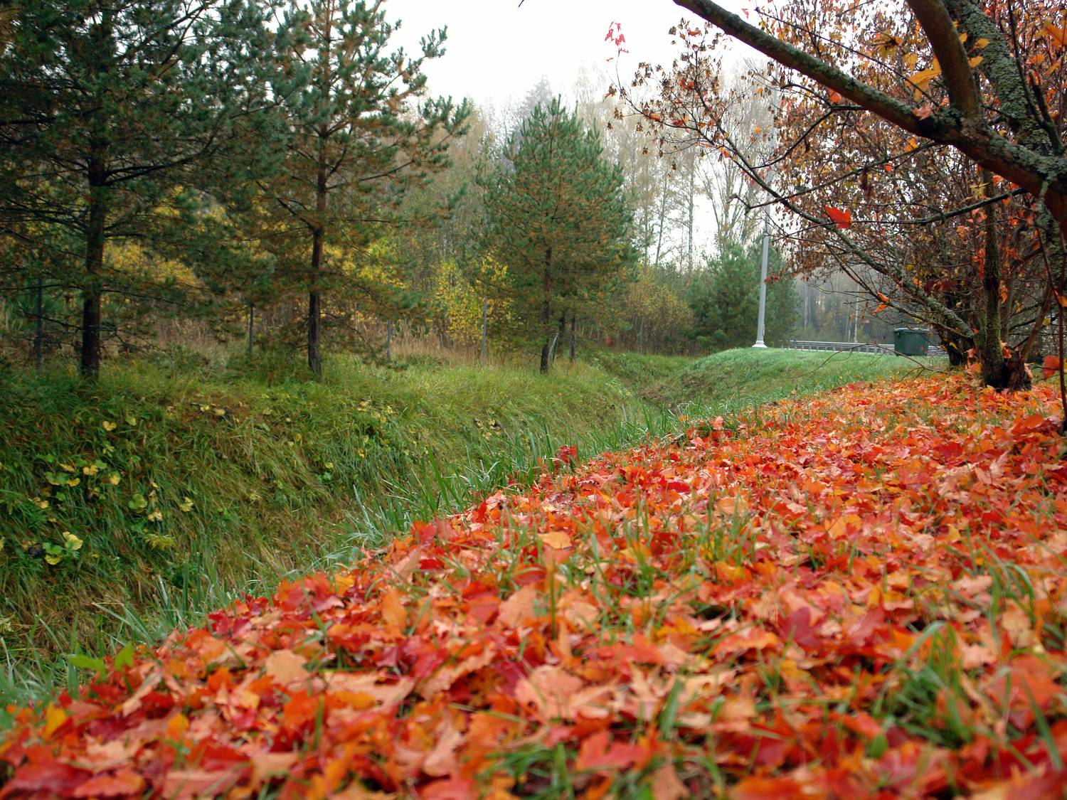 Photo #12698414