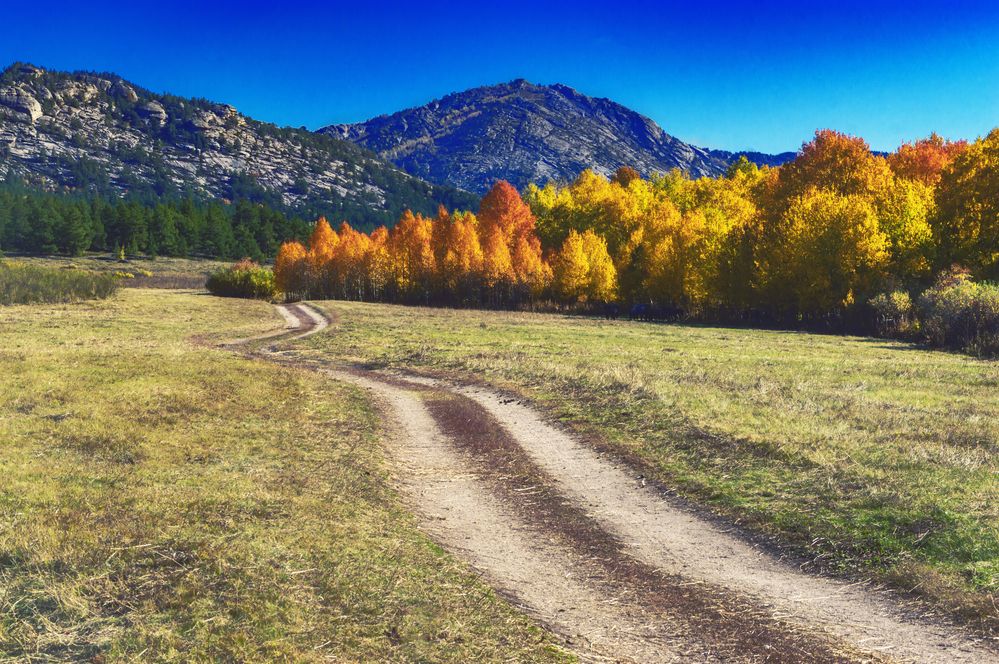 Фотография автора Андрей Жданов