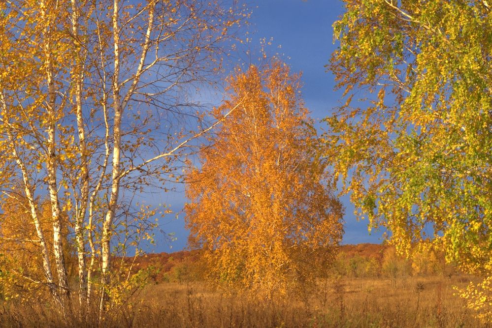 Photograph by Наталья Иванова